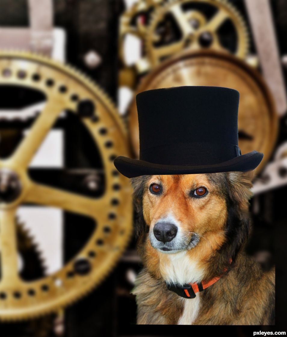 Creation of Steampunk Millionaire Dog: Step 2