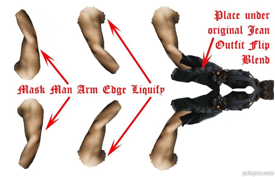 Creation of Discovery of a New Species: Step 7