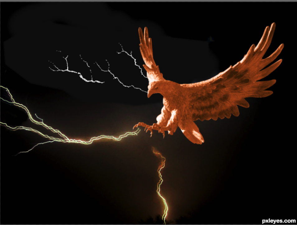 Creation of Thunderbird: Step 4