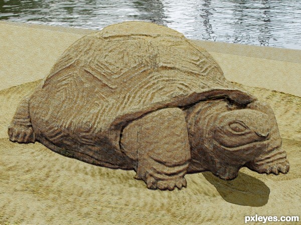 Creation of turtle sand sculpture: Final Result