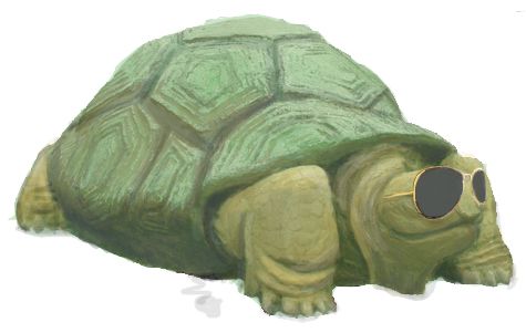 Creation of One Cool Turtle: Step 3