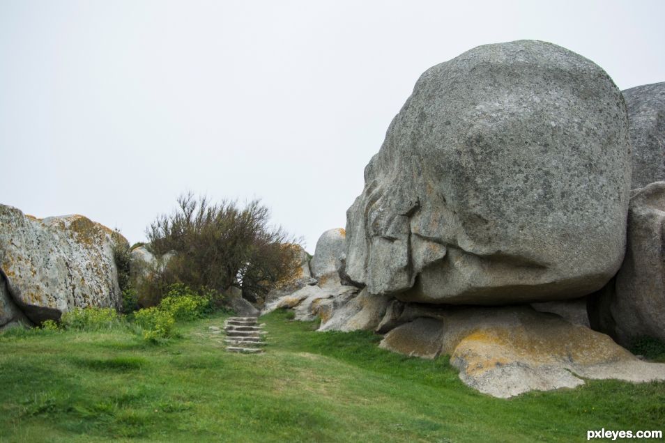 Rock garden