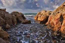 Turkey Shore