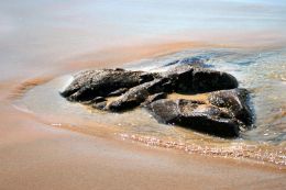 Stone on beach