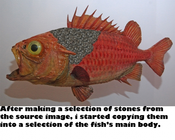 Creation of Fish: Step 1