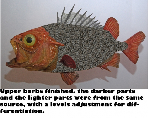 Creation of Fish: Step 3