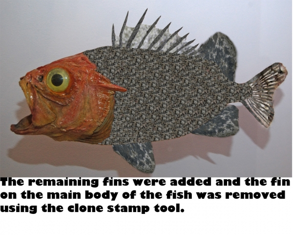 Creation of Fish: Step 5