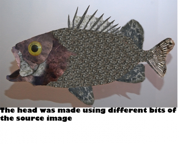 Creation of Fish: Step 6