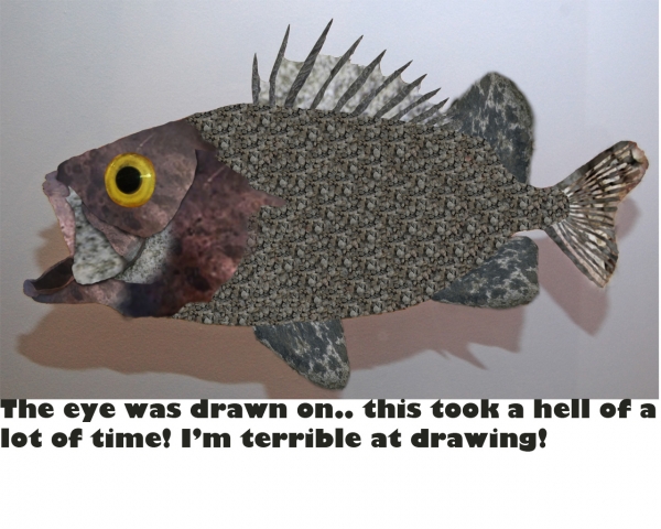 Creation of Fish: Step 9