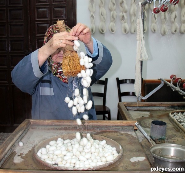 Mixing silkworms