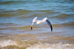 lake michigan