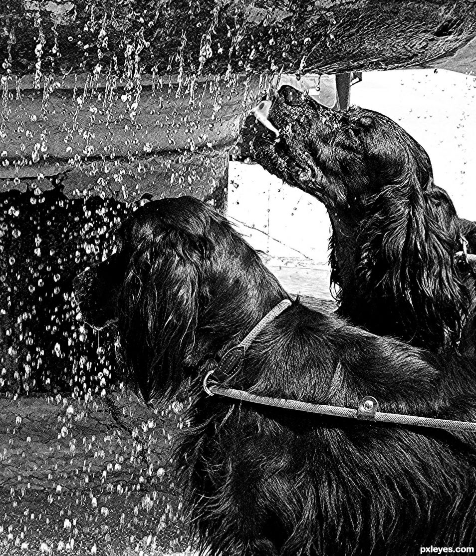 Stopping For a Drink