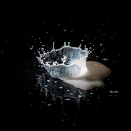 Splash