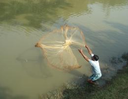 to catching fish