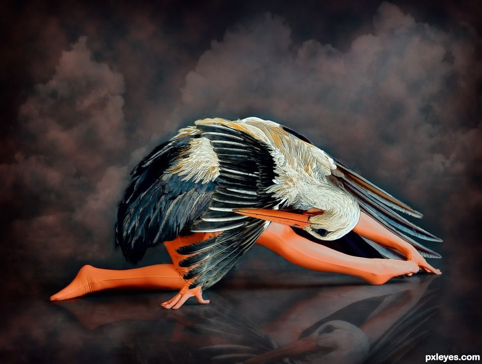 Stork Ballet