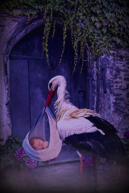 baby and stork