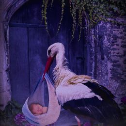 baby and stork Picture