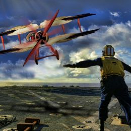 FuzzyPenguinPilotStorkBiPlane