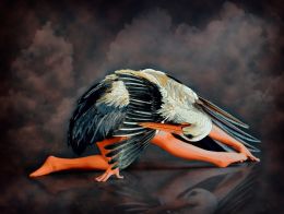 Stork Ballet Picture