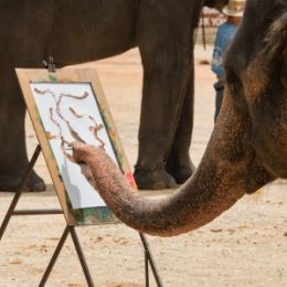 Elephantpainting