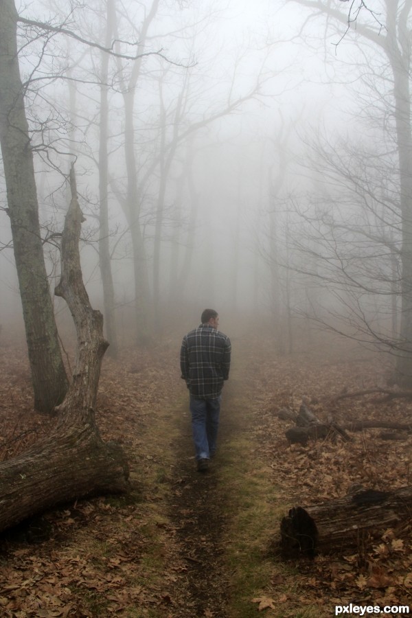 A Walk In The Woods