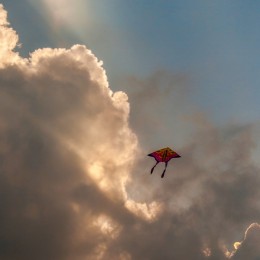 The Kite Runner