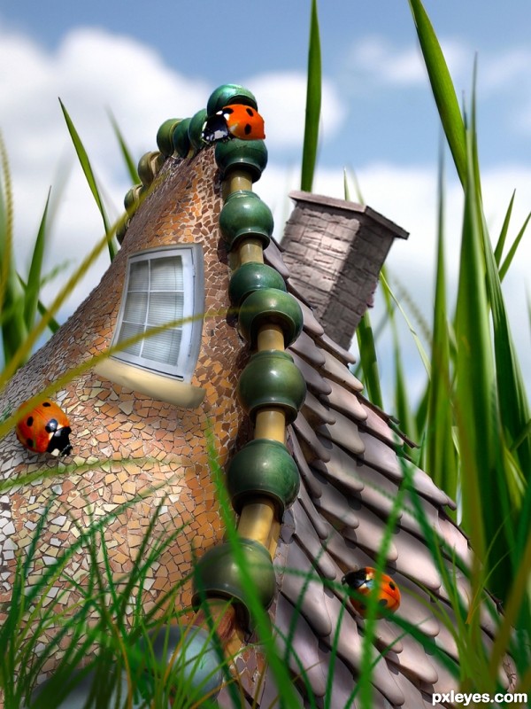 Bug House photoshop picture)