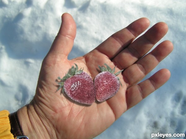 Frozen Berries