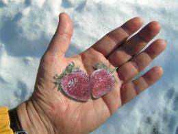 FrozenBerries