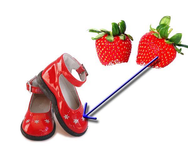 Creation of Wizard of OZ : Step 1