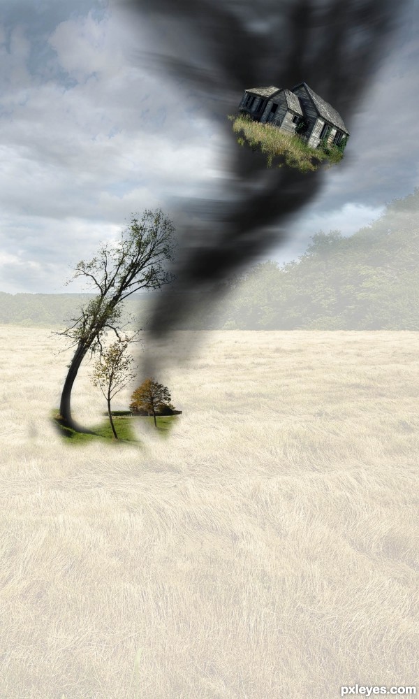 Creation of Wizard of OZ : Step 3