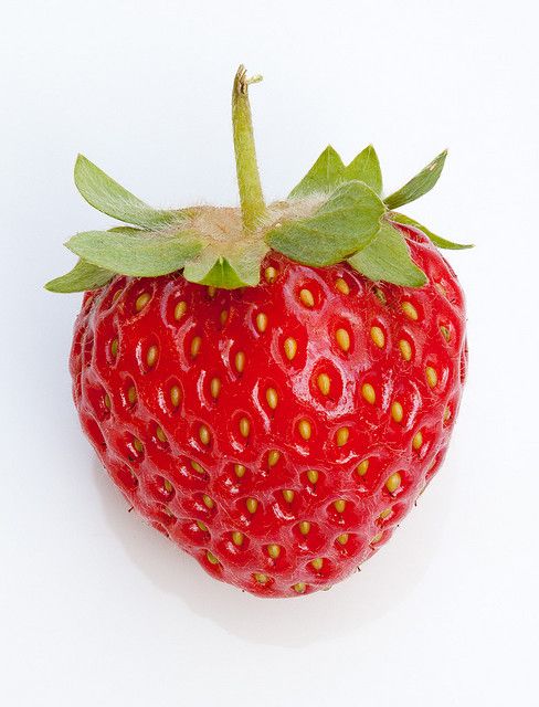 Creation of Strawberry Island Pluckerbirds: Step 5