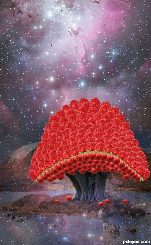 Creation of Strawberry Island Pluckerbirds: Step 14