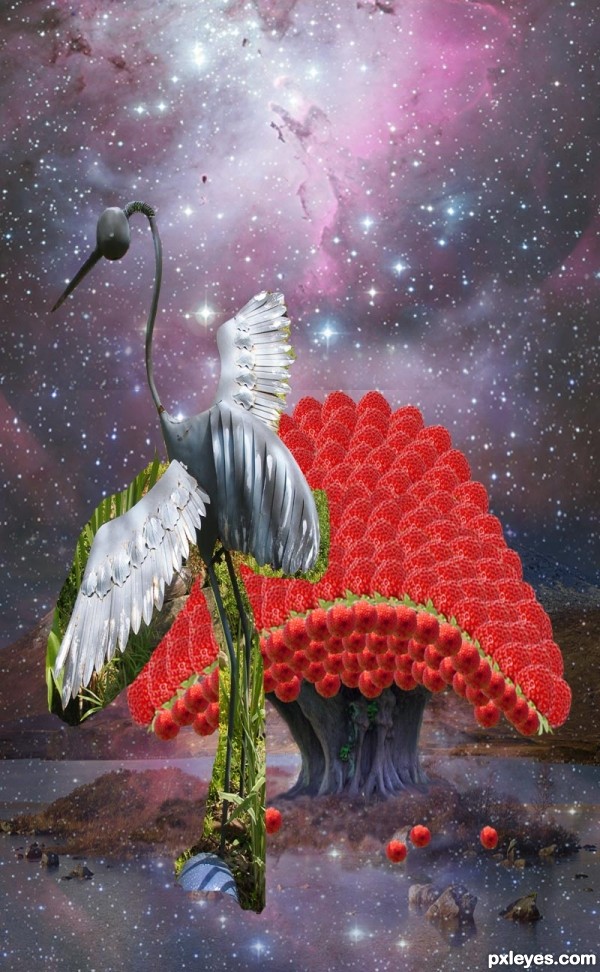 Creation of Strawberry Island Pluckerbirds: Step 15
