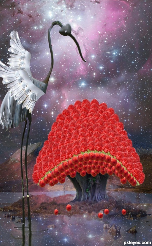 Creation of Strawberry Island Pluckerbirds: Step 16