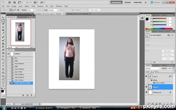 Creation of Mortuberry: Step 2