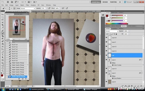Creation of Mortuberry: Step 8