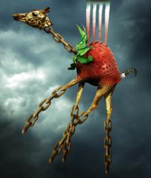 The Strawberry Giraffe Picture