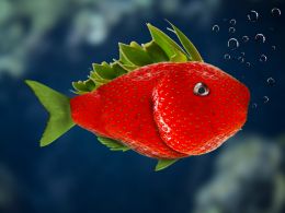 Strawberry Fish