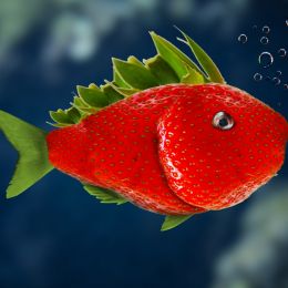 StrawberryFish