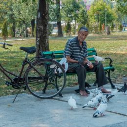 Feedingthepigeons