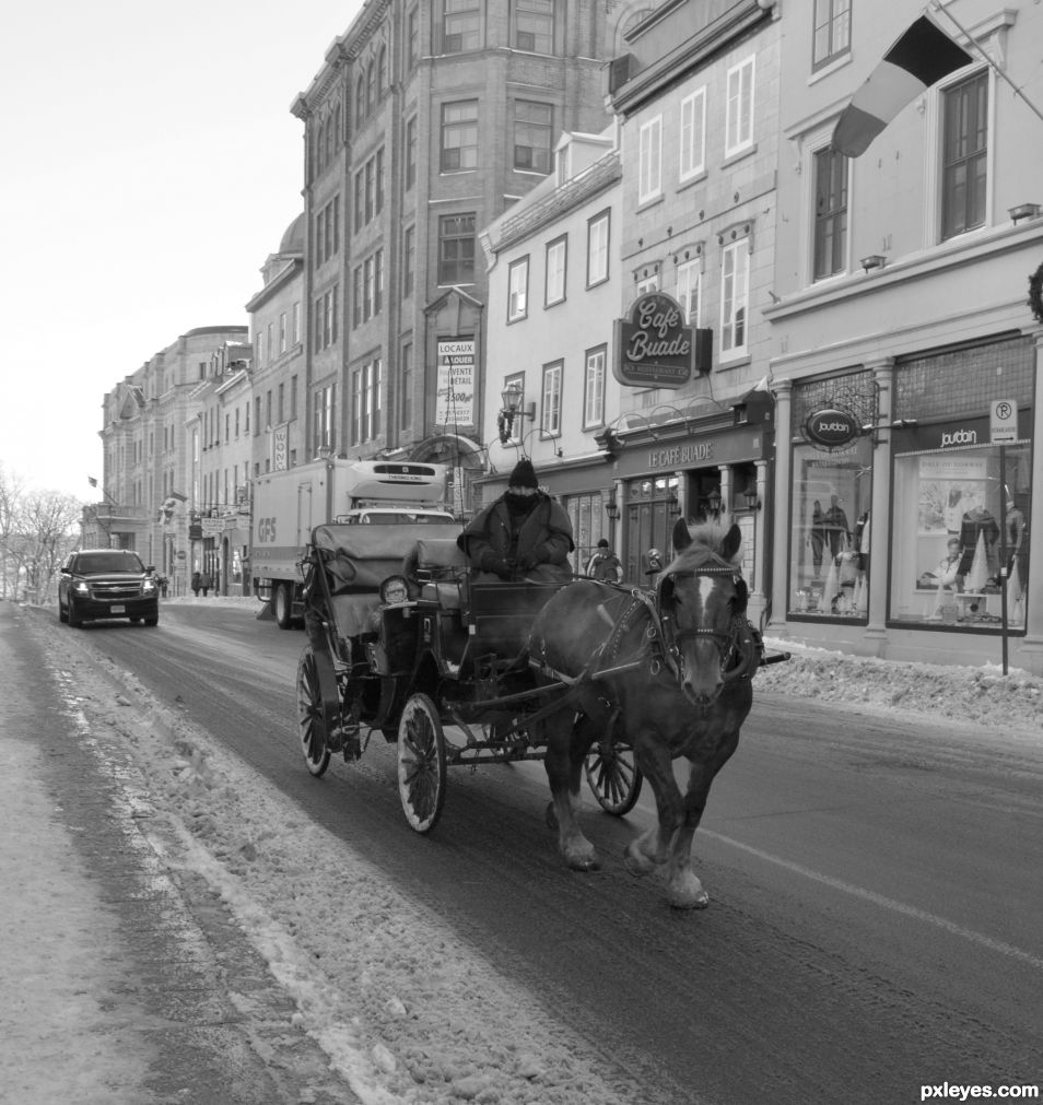 Horse carriage in a cold street