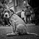 street life BW photography contest