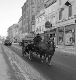 Horse carriage in a cold street