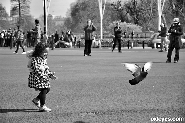 The girl and a pigeon