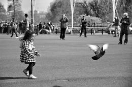 The girl and a pigeon