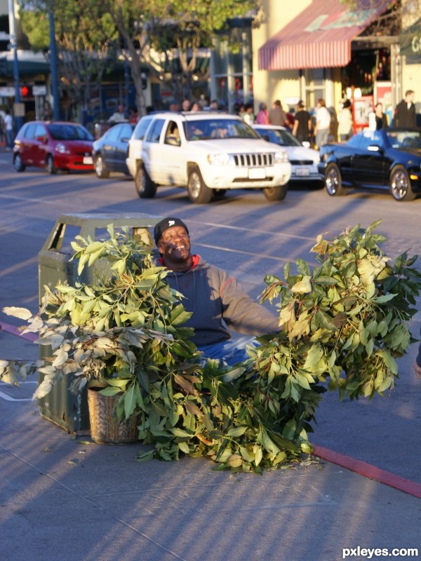 Street "Performer"