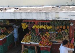 Fruit Stand