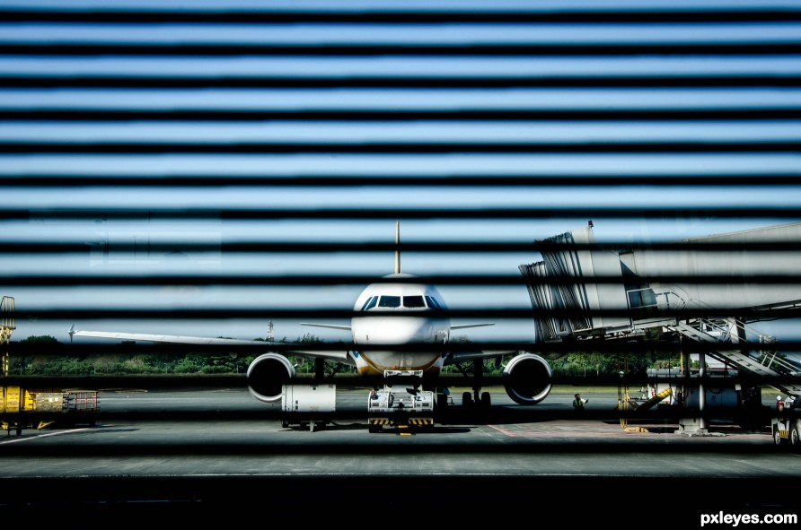 stripes before plane