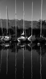 Boats in Harbour